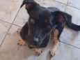 Molly