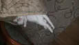 Aila