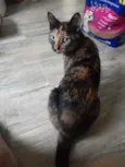Resgatada