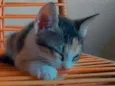 N tem nome