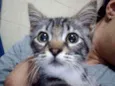 Miah
