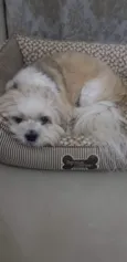 Niki