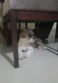 Niki