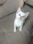 Jimmy