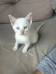 Jimmy
