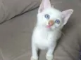 Jimmy