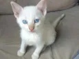 Jimmy