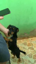 Nazus