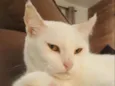 CATARINA