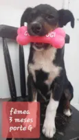 Não sei