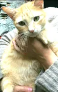 Vicki