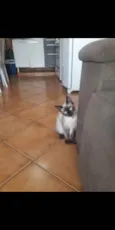 Mel