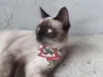 Mel