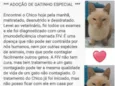 Chico