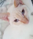 LUCIO MIX