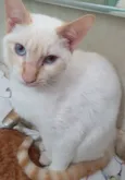 LUCIO MIX