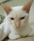 LUCIO MIX