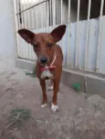 Matilda