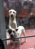 Luci e Fred