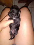 Sem nomes