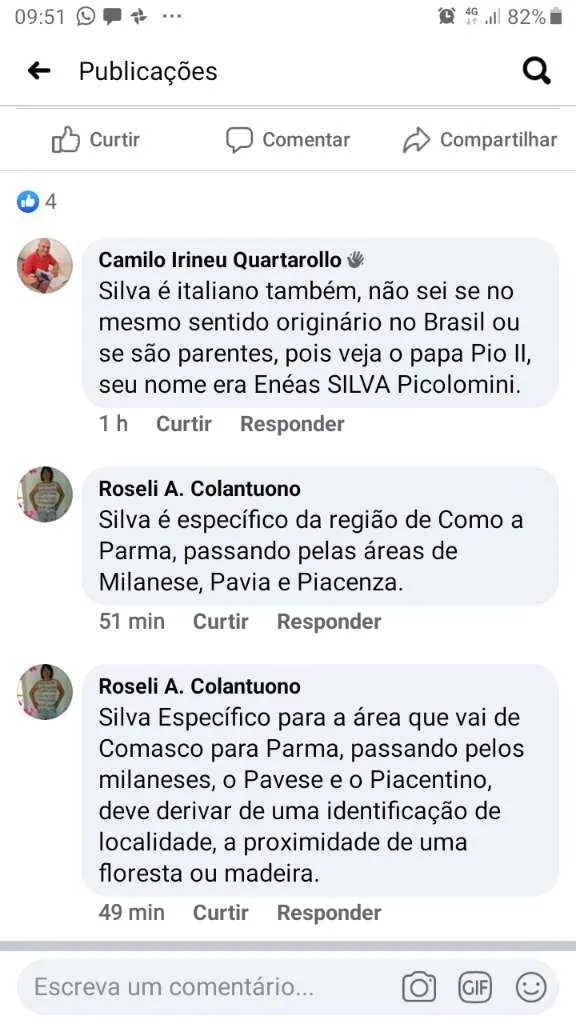 Cachorro raça Pudo  idade 2 anos nome Téo 