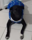 Duke