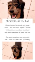 (Ainda não tem)
