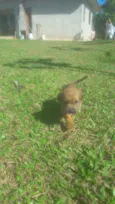 Bilu