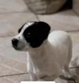 Bia linda bebê