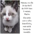 Não tem