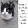 Não tem