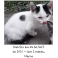 Não tem