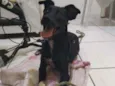 Desconhecido