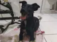 Desconhecido