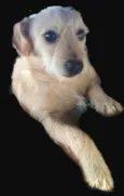 Billy