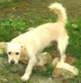 Billy