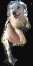 Billy