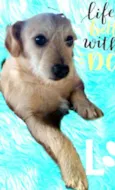 Billy