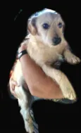 Billy