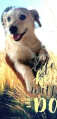 Billy