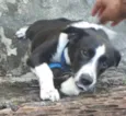 Benny