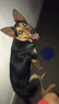 Fifi