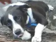 Benny