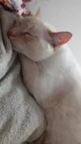 Pepe lindo e bonzinh