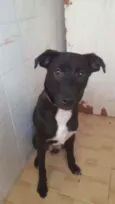 Enki