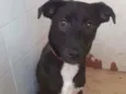 Enki