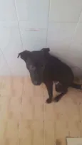 Enki