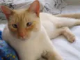 Pepe lindo e bonzinh
