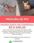 Piti