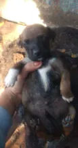 Não tem